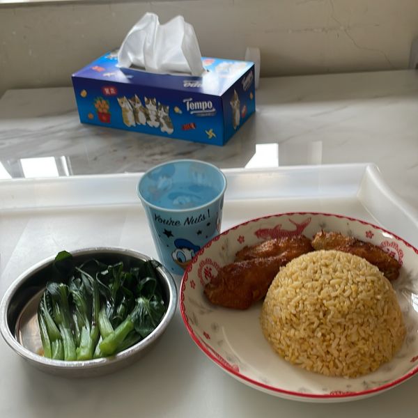 undefined：初音未来的超级粉丝 一起做