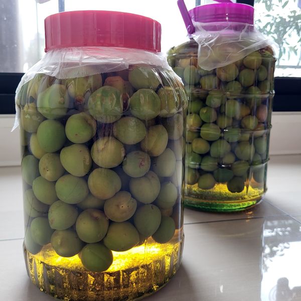 梅子醋---春意濃 : 加菲的B計畫料理一起做