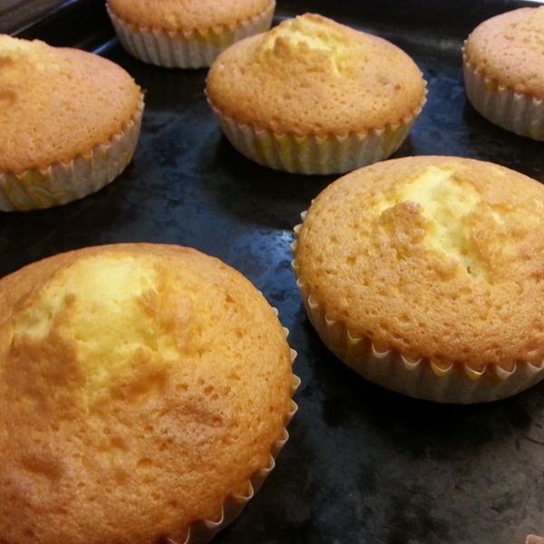 undefined：Sophia Chen 一起做