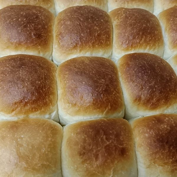 undefined：sabdra 一起做