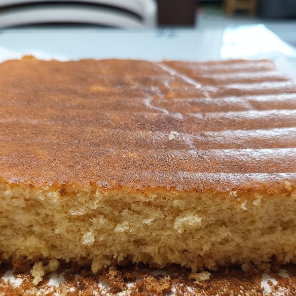 undefined：Ruru 一起做