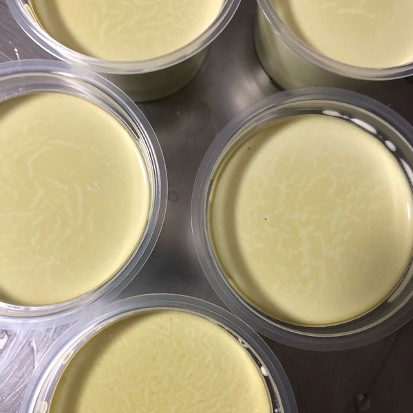 零失敗自製抹茶奶酪 : 嵐伊槿一起做