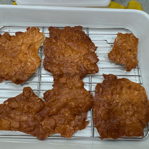 undefined：大象 一起做