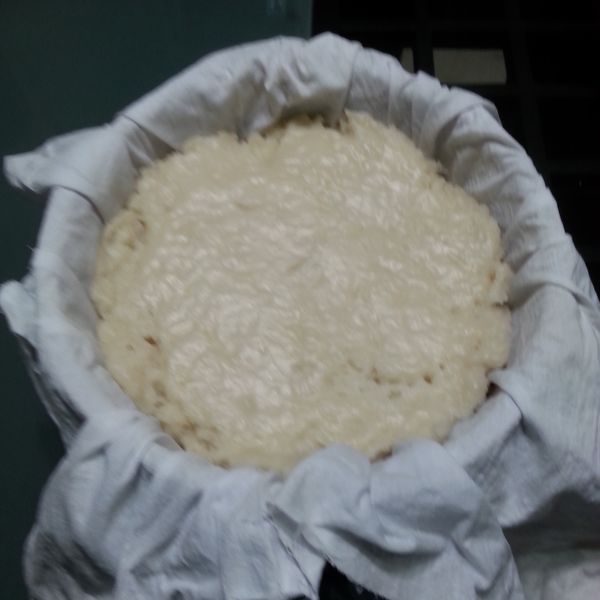 婆婆的古早味蘿蔔糕 : Amy一起做