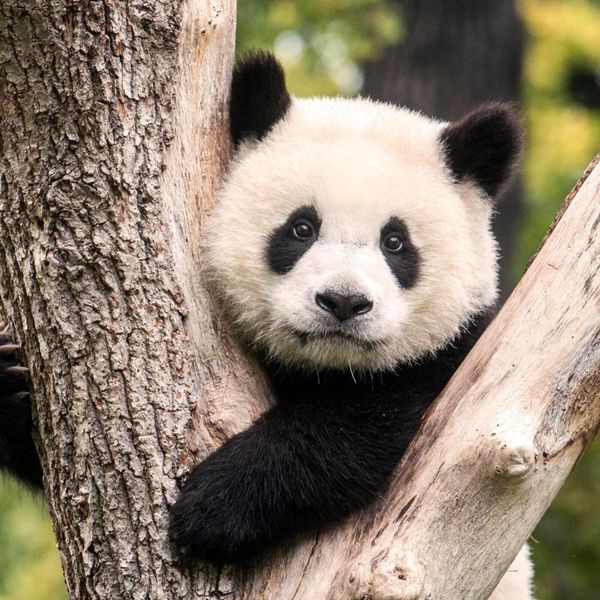 undefined：Leon 一起做