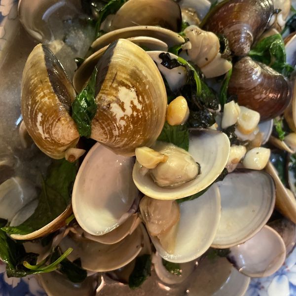 ♫【深夜食堂】酒蒸蛤蜊佐九層塔「あさりの酒蒸し」：YL Wang 一起做