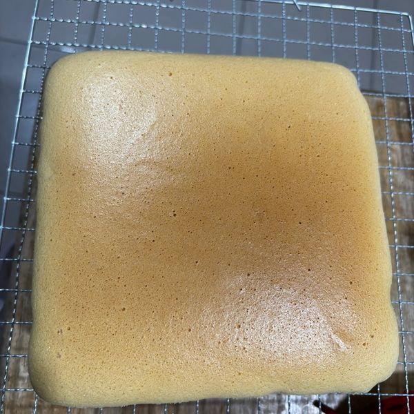 undefined：鄭菀珣 一起做