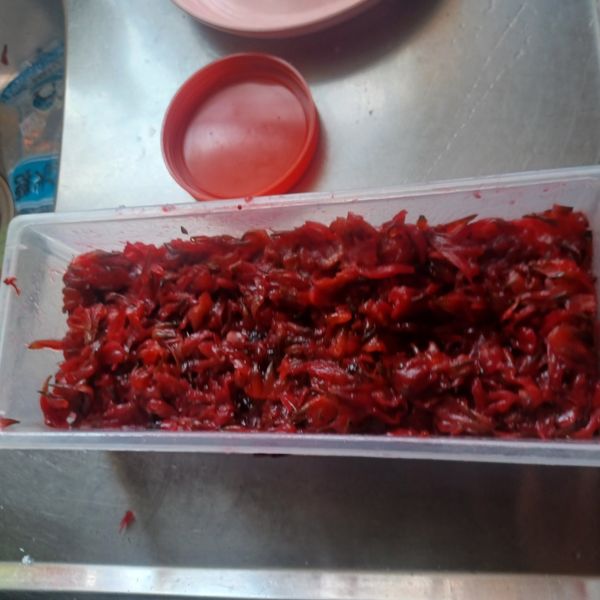 酸甘甜洛神花蜜餞：萱萱 一起做