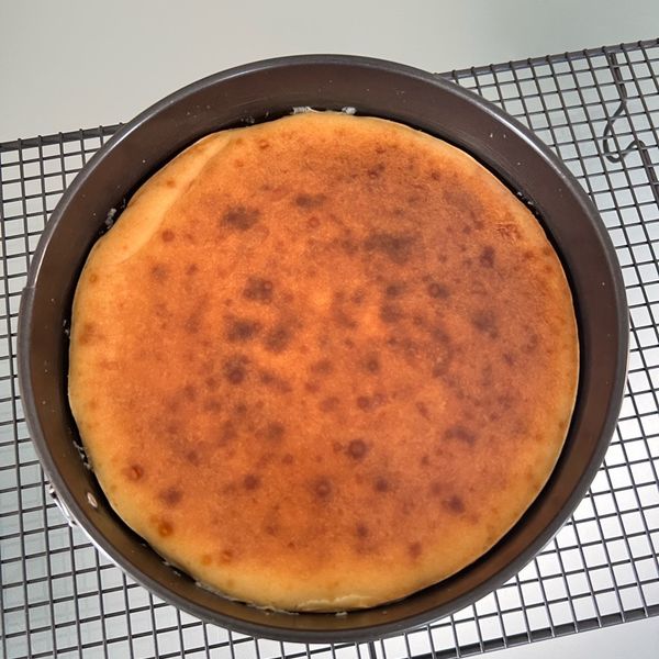 undefined：Cara 一起做