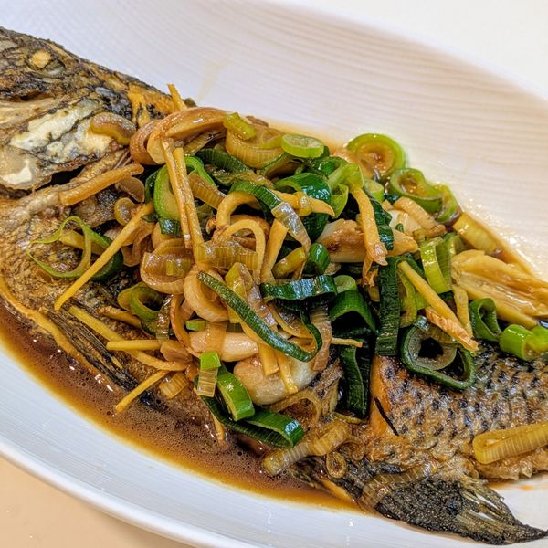 undefined：Daphne Kuo 一起做