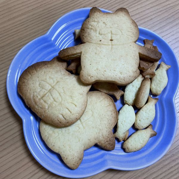 普通餅乾：讓我們成為海豹 一起做