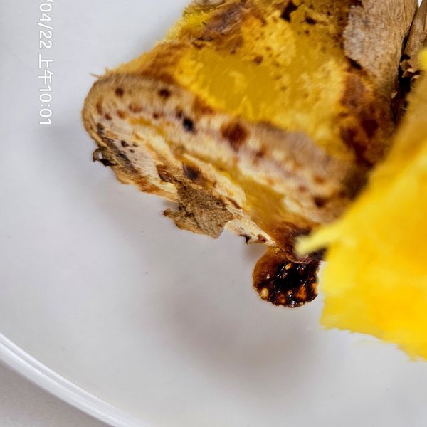 品靚上菜-氣炸地瓜:Lillian 一起做