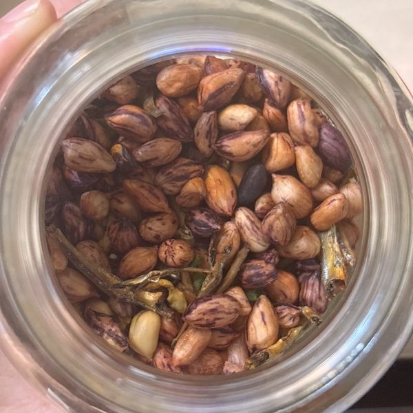 氣炸花生小魚乾~Arlink氣炸鍋:Wendy 一起做