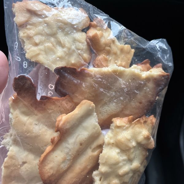 undefined：沛 一起做