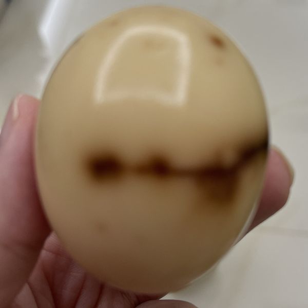 汗蒸幕烤雞蛋 구운계란 : Pan Yuhua一起做