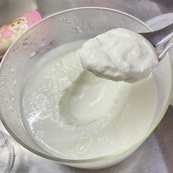 自製優格 : 小甄一起做