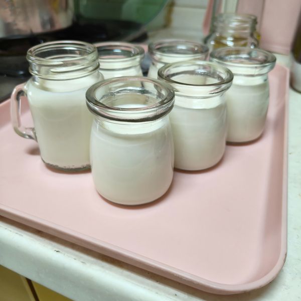 《甜點簡單做》鮮奶酪：林本捷 一起做