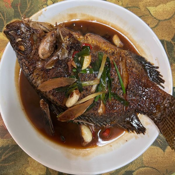 家常紅燒吳郭魚 : 陳偲維一起做