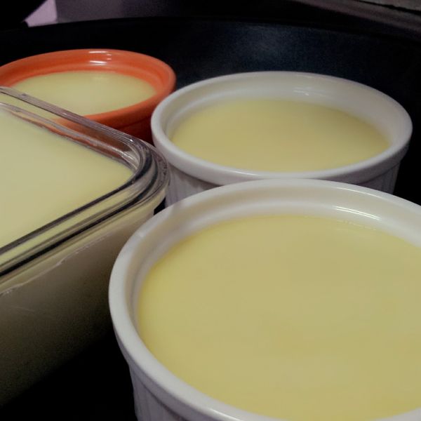 蒸雞蛋布丁：小噗 一起做