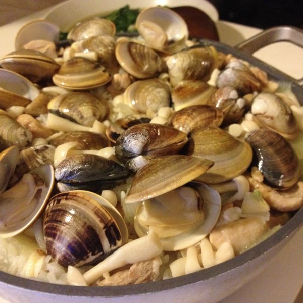 海陸燉飯 : summer一起做