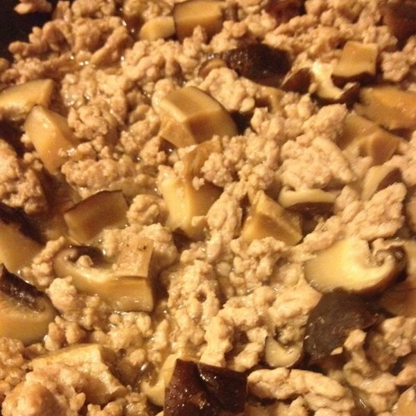 力力隨意煮-炒香菇肉燥：桑尼 一起做