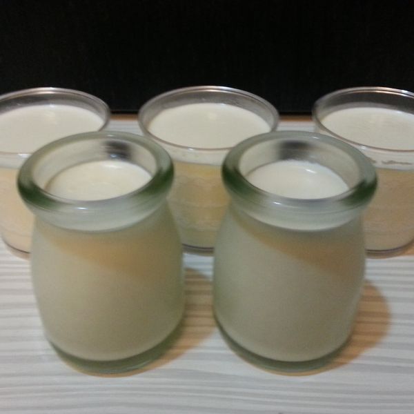 【Penny's House】香草鮮奶酪 : Shara Liu一起做