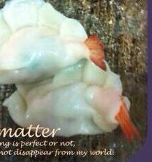 鮮蝦絲瓜水餃：吳小穎 一起做