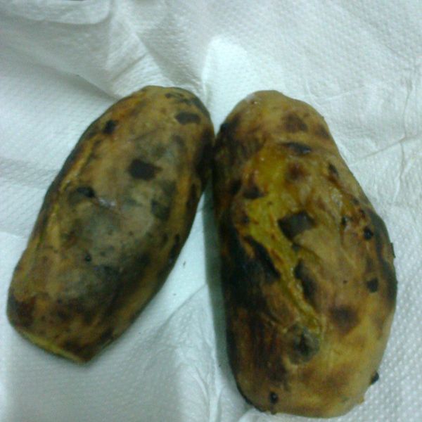 ▊烤地瓜 ▊ : 王月秀一起做