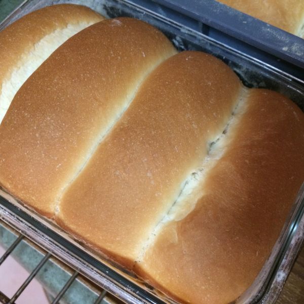 undefined：Lydia Wu 一起做