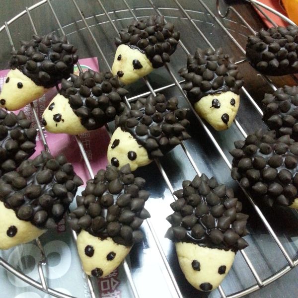 巧克力刺蝟餅乾 : 橘 夜兒一起做