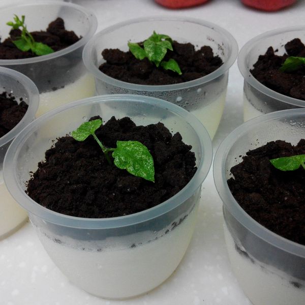 盆栽奶酪甜點 : pei一起做