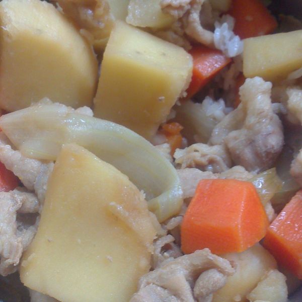 馬鈴薯燉肉：GinaSh 一起做