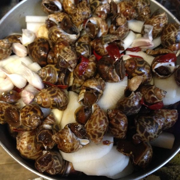 【金蘭】 輕食料理類-涼拌鳳螺：林家豪 一起做