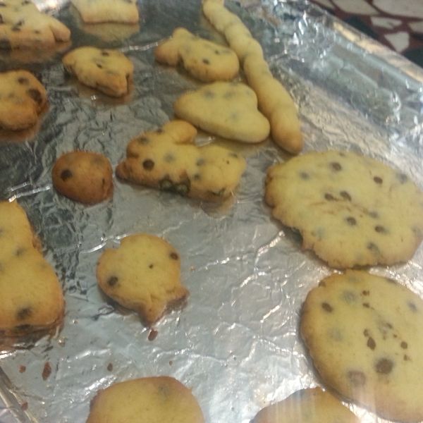 小烤箱做巧克力豆餅乾(另有大烤箱版) : 愛亞綸一起做