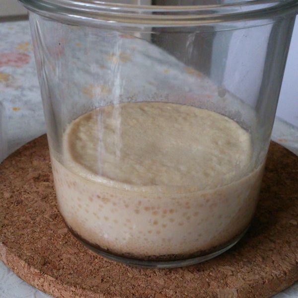 焦糖烤布丁 : Angelica Dan一起做