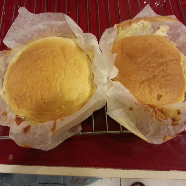 日式輕乳酪蛋糕 : pilk一起做