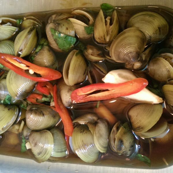 【涼拌菜】醃鹹蜆仔：許N綺 一起做