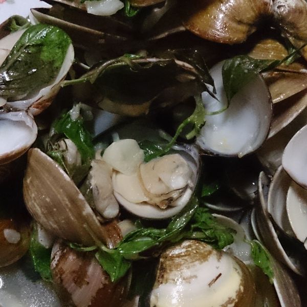 ♫【深夜食堂】酒蒸蛤蜊佐九層塔「あさりの酒蒸し」：Elaine Lee 一起做