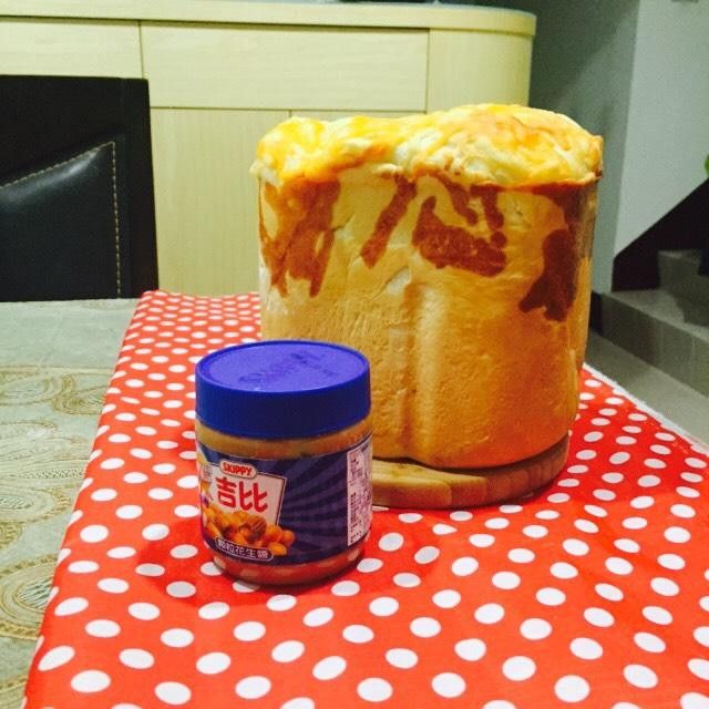 Carol Luo Carol 一起做