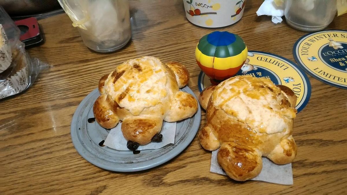 Sandy Chen 一起做