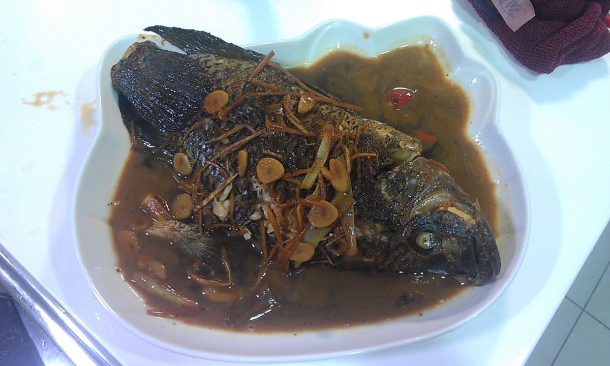 Ting Yu Wang 一起做