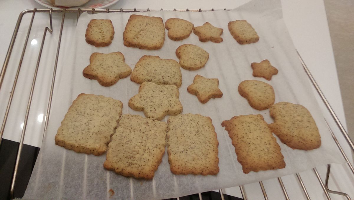 Clara Chen 一起做