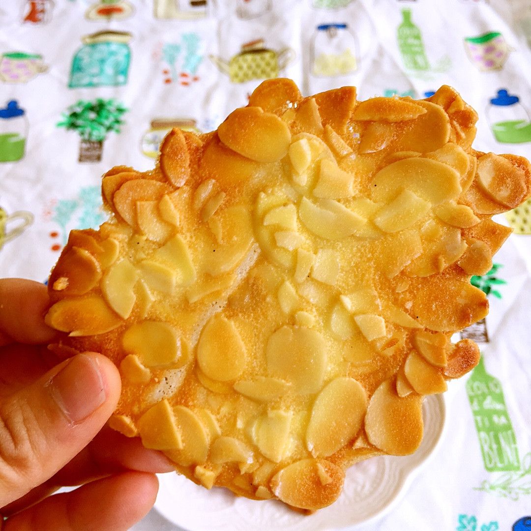 YiShan Yang 一起做