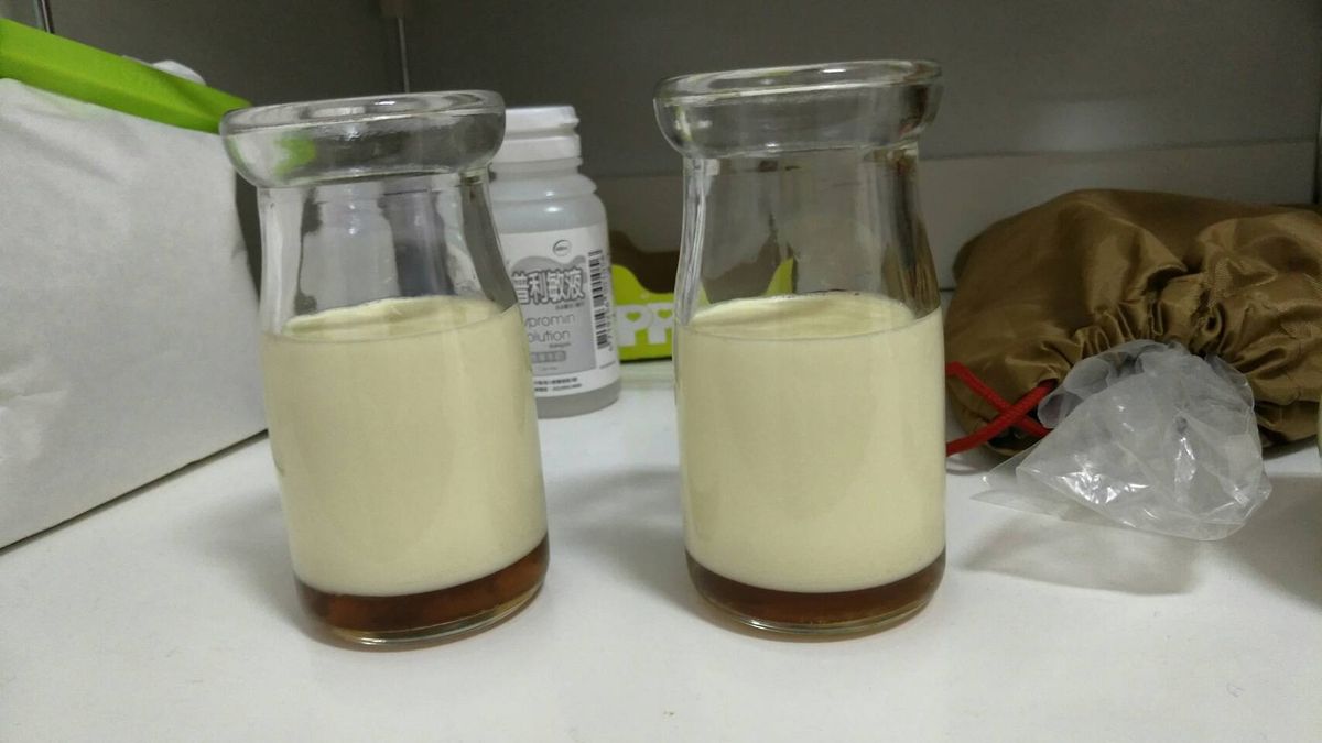 Yanyu Kang 一起做