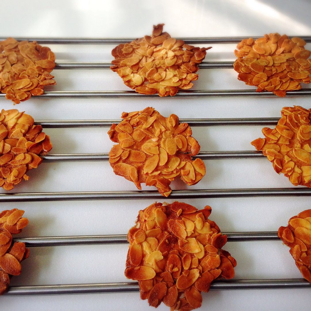 Jaslene Lin 一起做