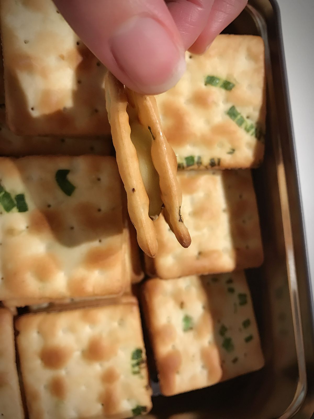 Yiyi Chien 一起做