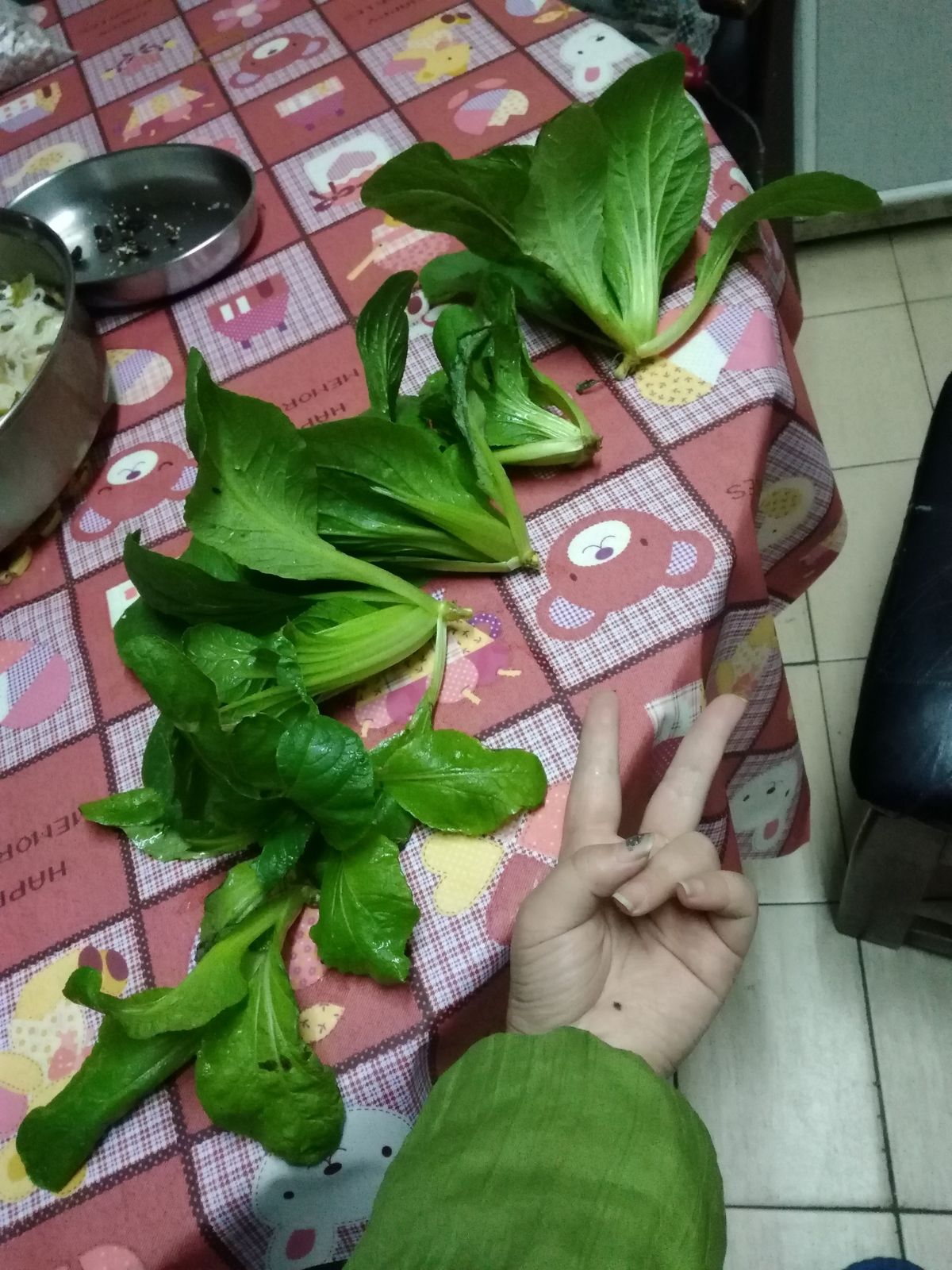 龍崎劍葉 一起做