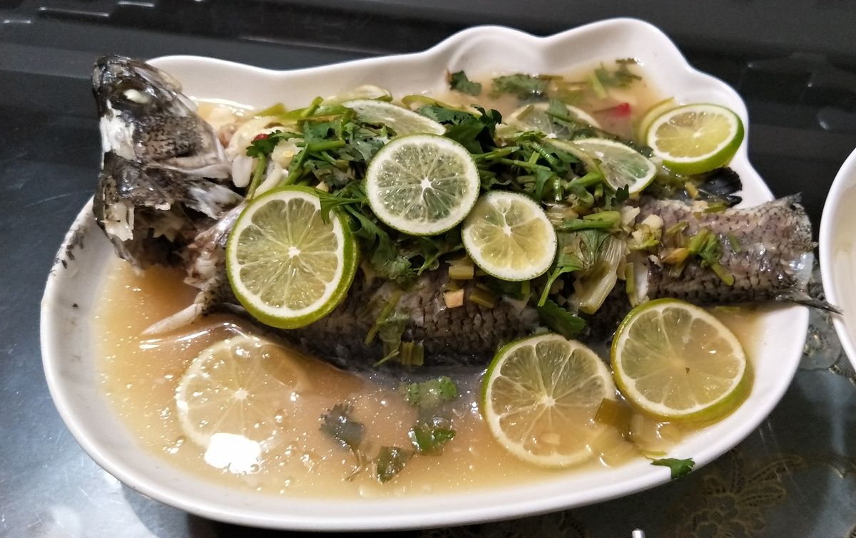 Elaine Chen 一起做