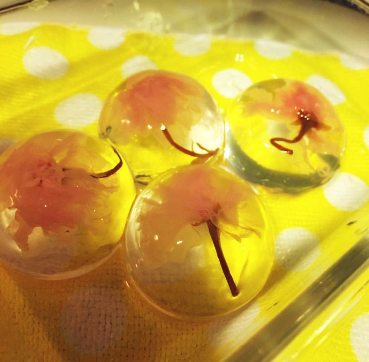 ひ とみ 一起做