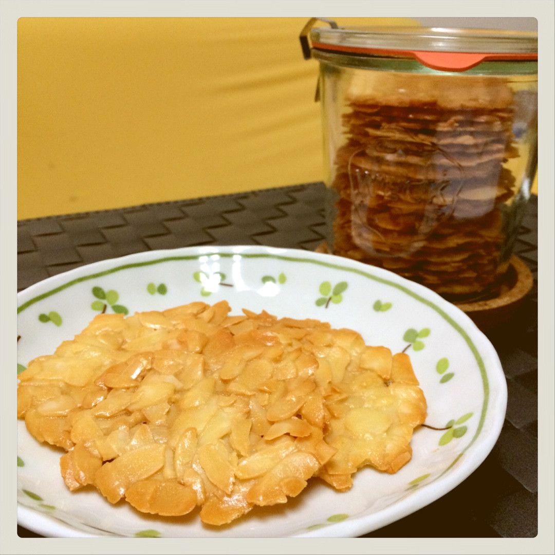 Dolly Chen 一起做